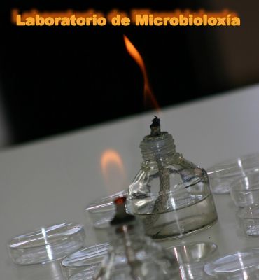 클릭하여 원래 크기로 보기