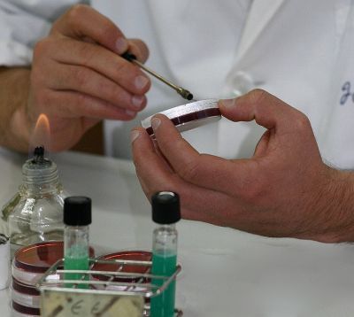 Κάντε κλικ για να δείτε την εικόνα σε πλήρες μέγεθος