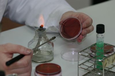 Cliqueu aquí per veure la imatge a la mida màxima