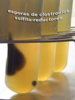 اضغط لتكبيـر الصورة