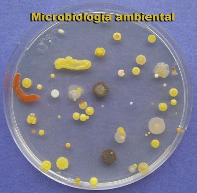 Klikk for å vise bildet i full størrelse