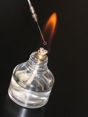 Preme para ver a foto ampliada