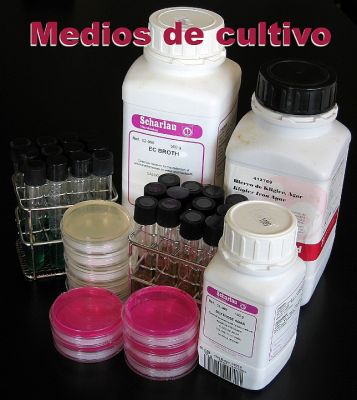 Klik for at se fuld størrelse billede