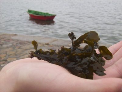 Clicca per l'immagine full size