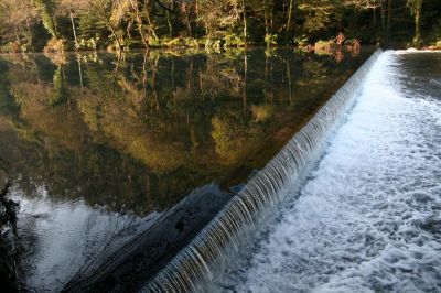 Klikk for å vise bildet i full størrelse