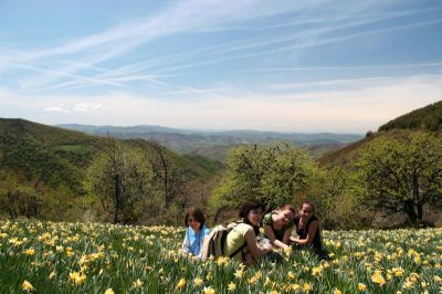 Preme para ver a foto ampliada