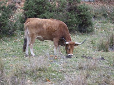 Klikkaa kuvaa nähdäksesi se täysikokoisena