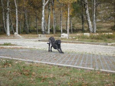 Klikněte pro zobrazení původního obrázku