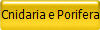 Cnidaria e Porifera