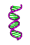 DNA