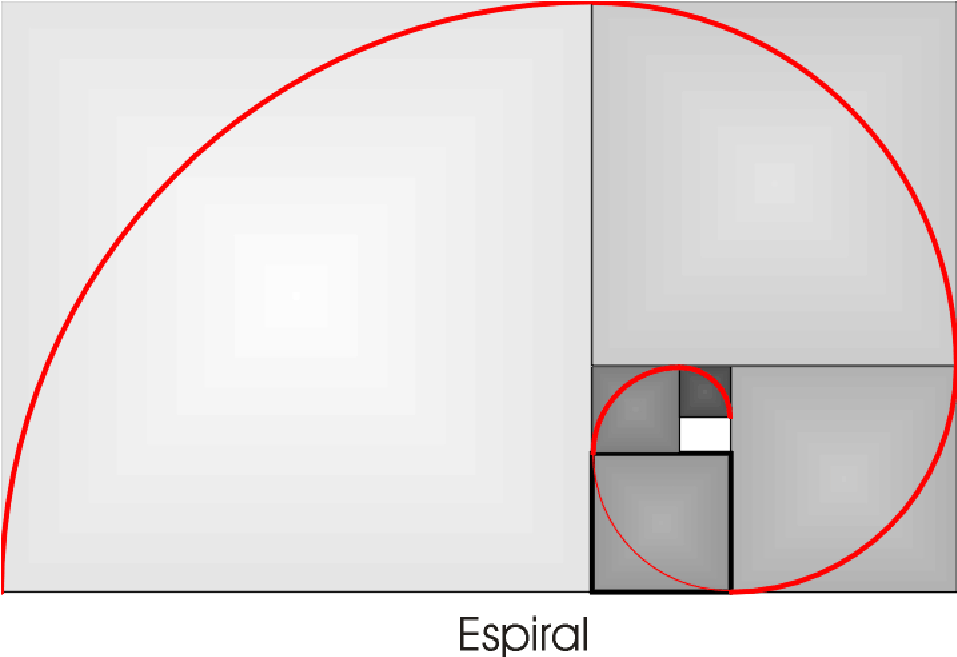 Espiral a�rea o de Durero