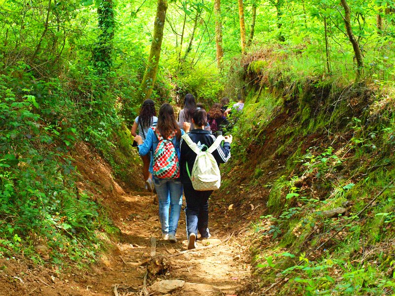 normalizaci&oacute;n