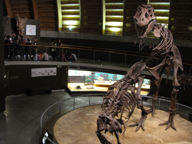 excursion_2010_019.JPG
