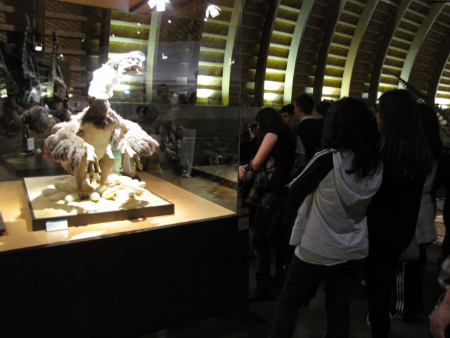 excursion_2010_020.JPG