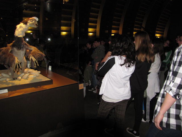 excursion_2010_021.JPG