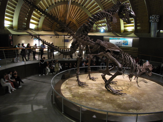 excursion_2010_022.JPG