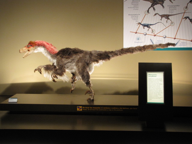 excursion_2010_025.JPG