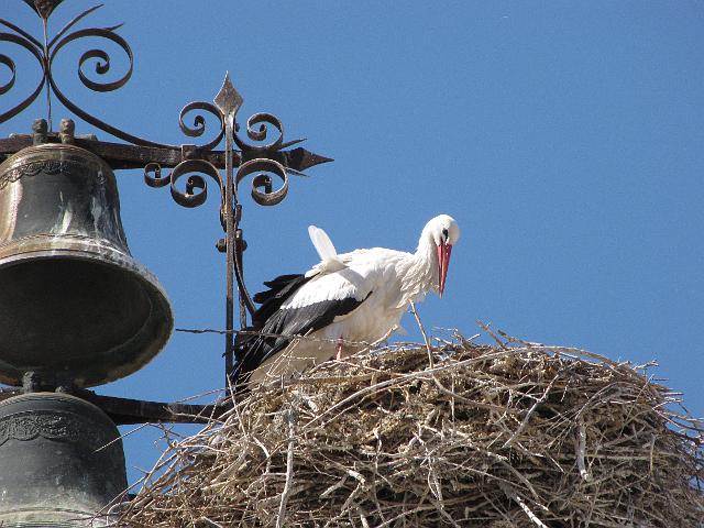 excursion_2010_616.JPG