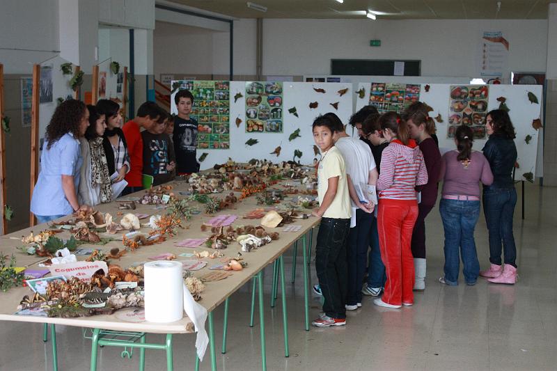 exp_cogumelos_0042.JPG