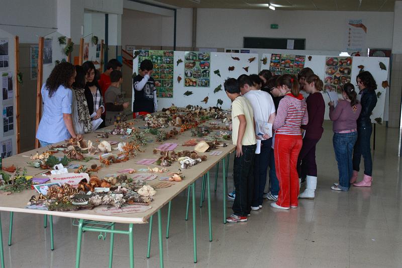 exp_cogumelos_0045.JPG