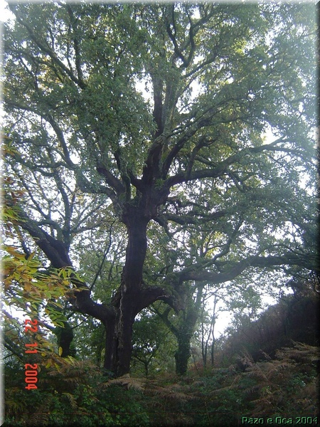 Excursi�n Oca-Carboeiro-Toxa 054.jpg