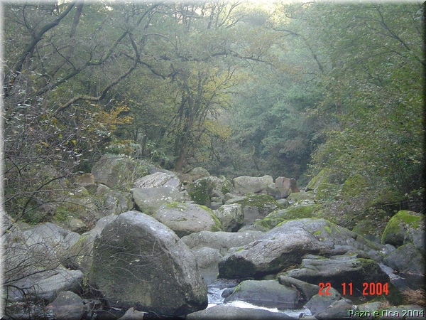 Excursi�n Oca-Carboeiro-Toxa 058.jpg