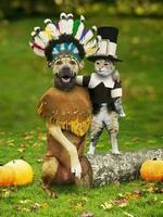 O Entroido dos Animais