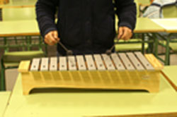 Metal&oacute;fono Soprano Diat&oacute;nico