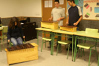 Pracas de Madeira (Xil&oacute;fonos)