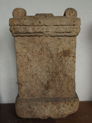 Preme para ver a foto ampliada