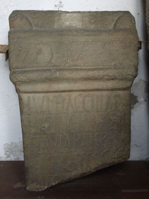 Preme para ver a foto ampliada