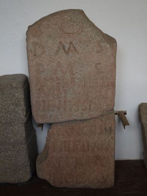 Preme para ver a foto ampliada