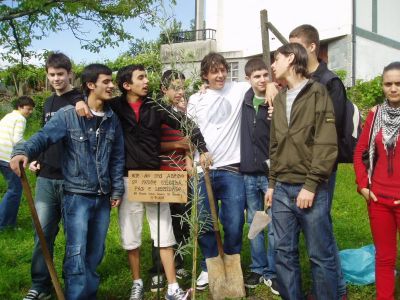 Preme para ver a foto ampliada