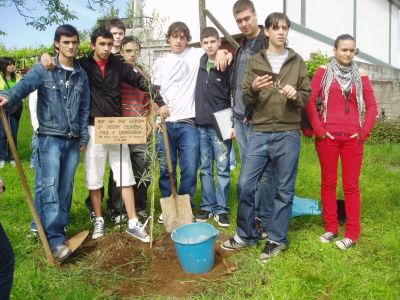 Preme para ver a foto ampliada