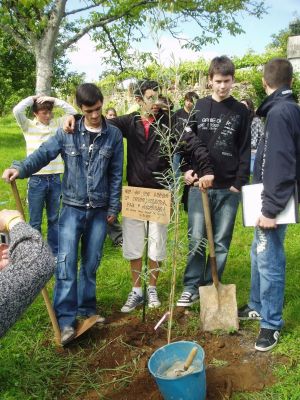 Preme para ver a foto ampliada