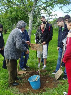 Натиснете за да видите снимката уголемена