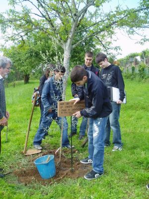 Preme para ver a foto ampliada