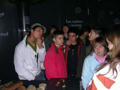 Preme para ver a foto ampliada