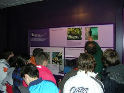 დაწკაპეთ ნახატის სრული ზომით სანახავად