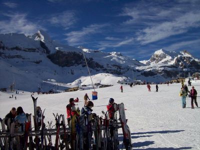 Preme para ver a foto ampliada