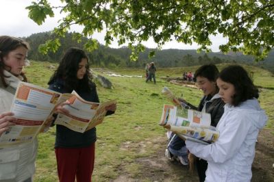 Preme para ver a foto ampliada