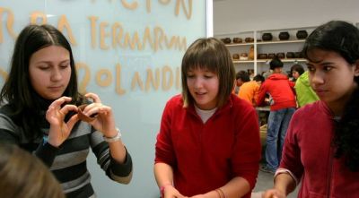 Preme para ver a foto ampliada