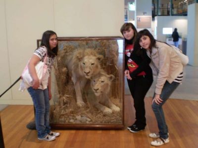 Preme para ver a foto ampliada