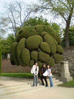 Preme para ver a foto ampliada