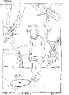 Fai clic na imaxe para vela m&aacute;is grande