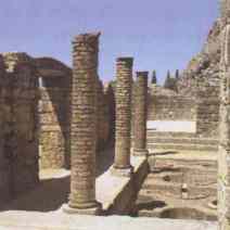 conimb4.jpg (5243 bytes)