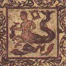 conimb6.jpg (9056 bytes)