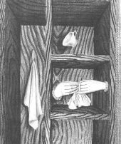 ACportada.JPG (10563 bytes)