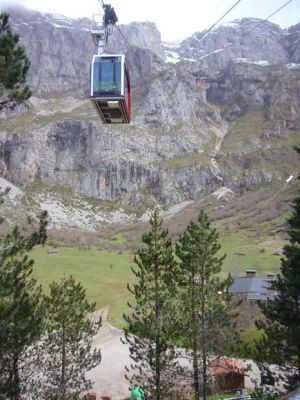 Preme para ver a foto ampliada