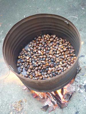 Preme para ver a foto ampliada